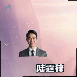 陆霆锋